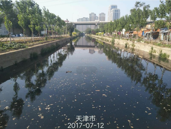 城市黑臭水体治理技术应用—就目前城市黑臭水体治理而言,其常见的